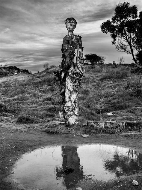 Albany Bulb San Francisco bay