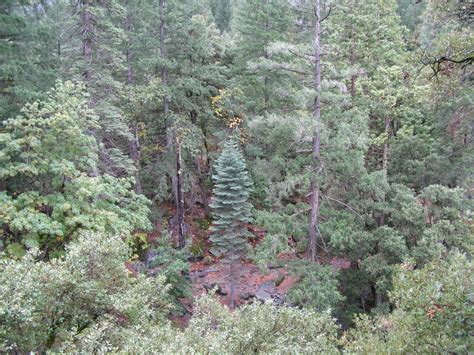 Poem, Sweet Poem: Vernal and Nevada Falls via Mist Trail