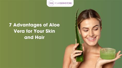 7 Advantages of Aloe Vera for Your Skin and Hair – yourdermstore