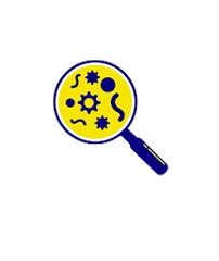 Welcome to Spitmed Biolife Sciences...