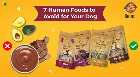 7 Human Foods to Avoid for Your Dog | Dogsee