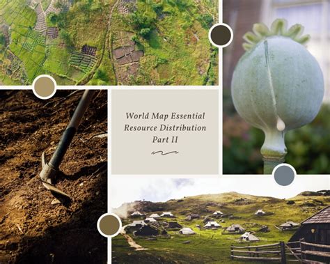 Resource Distribution 的图像结果