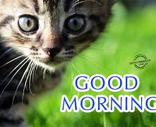 Image result for Good Morning Baby