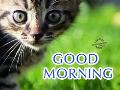Image result for Good Morning Cute Puppies