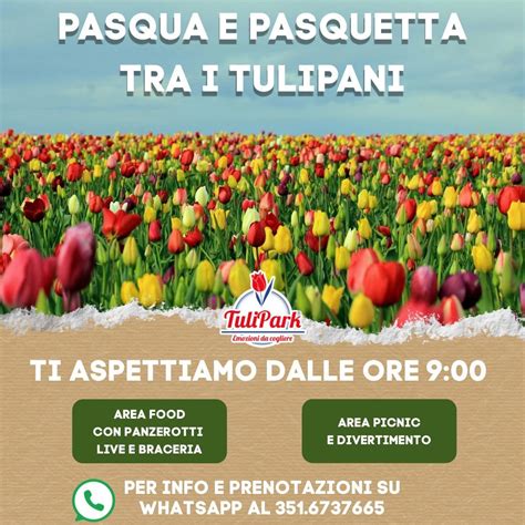 PASQUA E PASQUETTA AL TULIPARK, Str. Torremassimo Chiurla, snc, 70124 ...
