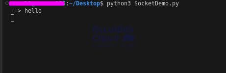 Image result for How to Use Socket Python