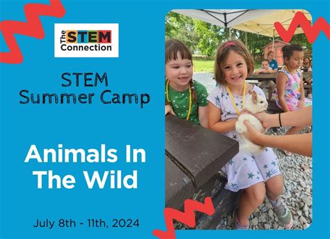 *FULL* Animals in the Wild STEM Summer Camp, The STEM Connection ...