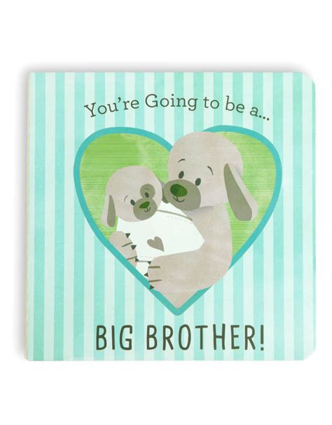 Demdaco You're Going to be a Big Brother Book - Spoiled Sweet Boutiqu ...