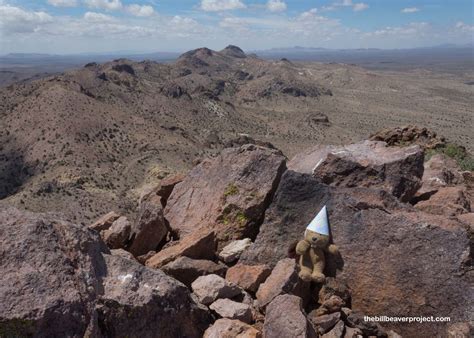 Castle Mountains National Monument! - The Bill Beaver Project
