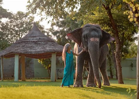 Elephant Ride in Jaipur, Elephant Sanctuary in Jaipur, Elefantastic