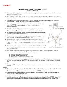 Endocrine System Crash Course 的图像结果