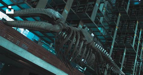 Image result for Ceiling Skeleton