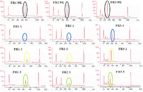 Electropherogram Interpretation 的图像结果