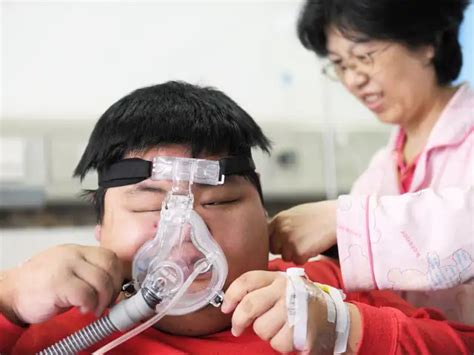 How a fat cell's immune response makes obesity worse - Inflammatory ...