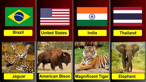 Image result for Animals On Button Moon