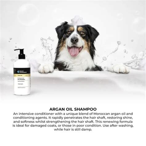 Groom Professional Argan Oil Pet Shampoo[Repairing]-4 litres | SMBG B2B ...