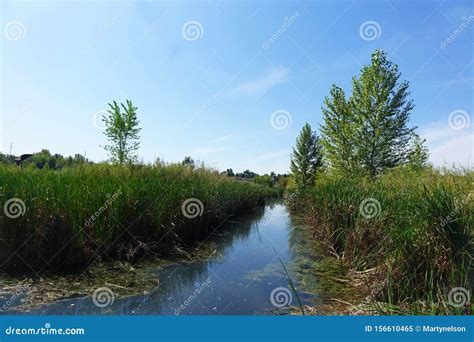 Hyatt Hidden Lakes Reserve, Boise, Idaho Stock Image - Image of water ...
