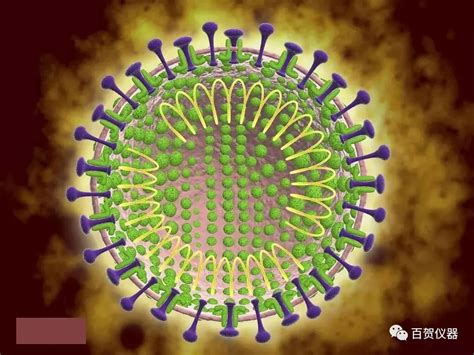 新型冠状病毒-电子显微镜下的病毒是什么样呢？