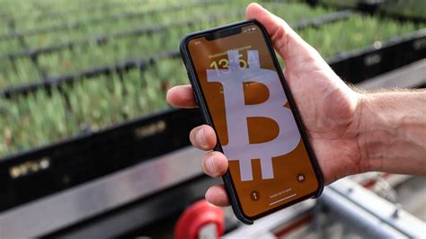 Bitcoin Miner Argo’s Shares Suspended in UK as Revenue Declines | Tech ...