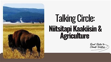 Talking Circle: Niitsitapi Kaakiisin & Agriculture, Red Crow Community ...