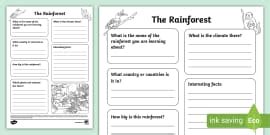 Rainforest Fact File Template (teacher made) - Twinkl