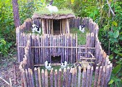 Image result for How to Build a Rabbit House