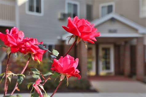 Covington Woods 55+ Living - Lansing, MI | After55