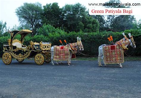 :: WELCOME TO MALATAJ BAGIWALA - MARRIAGE HORSE CART - ANAND - GUJARAT ...