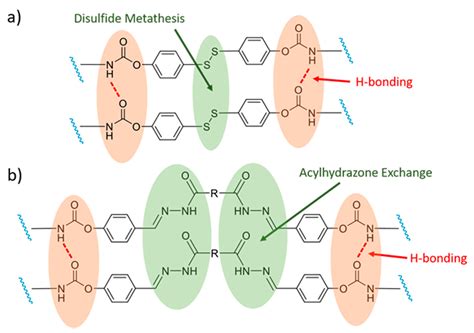 Dually Crosslinked Polymer Networks Incorporating Dynamic Covalent Bonds