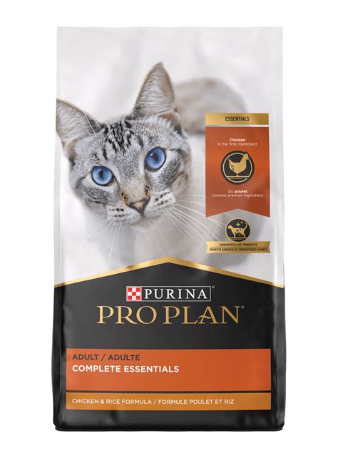 Cat Loaf Pose: What is it & Why Do Cats Loaf? | Purina US