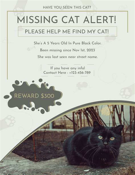 Professional Missing Cat Flyer Template - WordLayouts