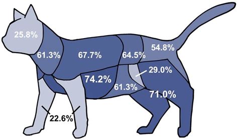 Why Do Dogs Bite Other Dogs Back Legs