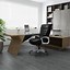 Image result for The Boss Chair