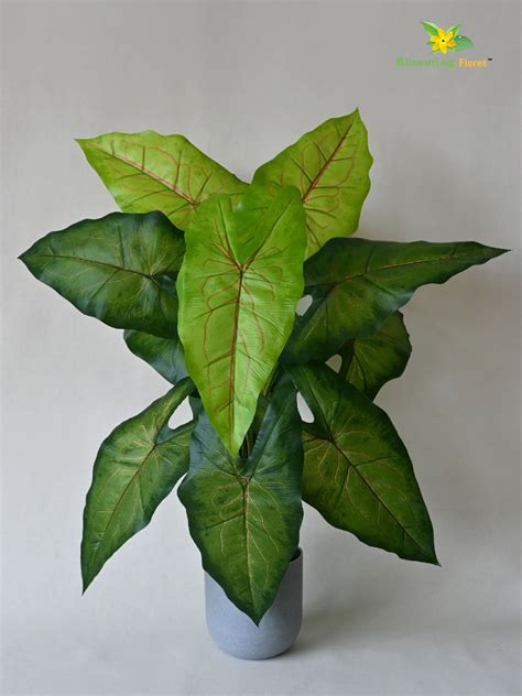 Artificial Caladium Plant – 78 cm, 12 Green Leaves, with Basic Pot ...