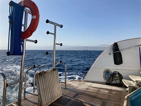 Diverse Divers Club - Aqaba | Tripadvisor