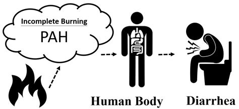 Association between Polycyclic Aromatic Hydrocarbon Exposure and ...