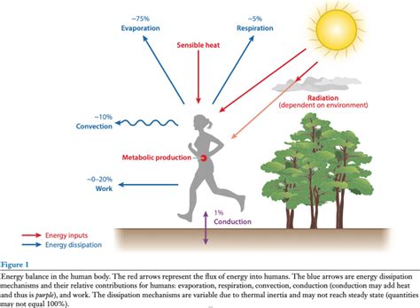 Why is 104 °F (40°C) is bearable in a Desert but Lethal in the Tropics