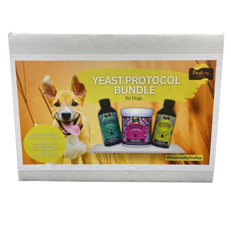 The Best Vitamins For Yeast In Dogs: A Holistic Approach