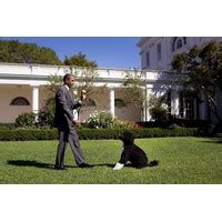 NDLI: 10 Healthiest Presidents In American History