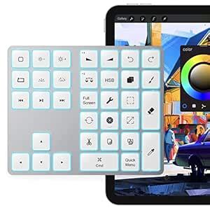 Dlinda Wireless Keyboard for Procreate, iPad With 7 Colors Backlit & 34 ...