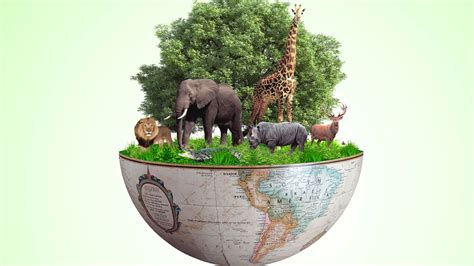 Life 的图像结果