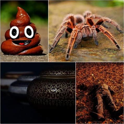 Look out! You don't want to find these cringe-worthy things in your ...