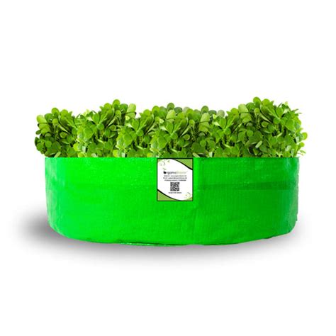 OrganicBazar 18x9 Grow Bag for Leafy Vegetables, Premium HDPE 260 GSM,