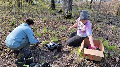 Springing into Action: A Plant Rescue - ACRES Land Trust
