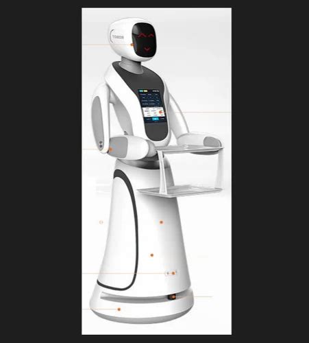 Service Robot 的图像结果