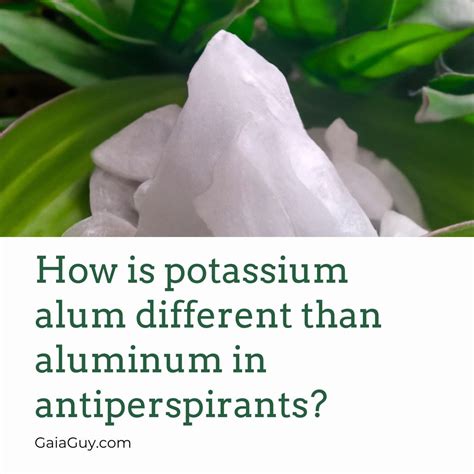 Potassium Alum Synonyms at Christina Gonzales blog
