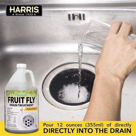 Buy Harris Fruit Fly Drain Treatment Gel, Drain and Fruit Fly Killer ...