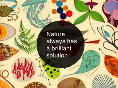 Image result for Biomimetics Examples