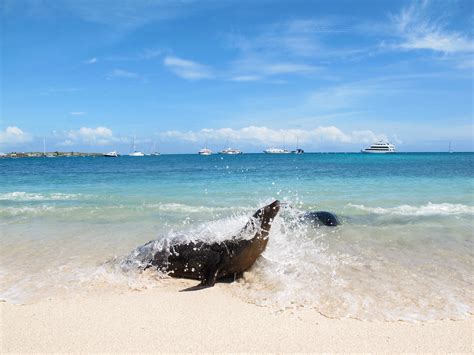 The Best Island in Galápagos is San Cristóbal Island in Ecuador