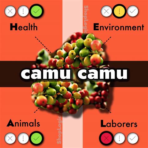 Camu Camu Benefits